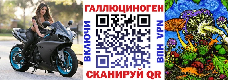 Псилоцибиновые грибы Psilocybe  Рославль 